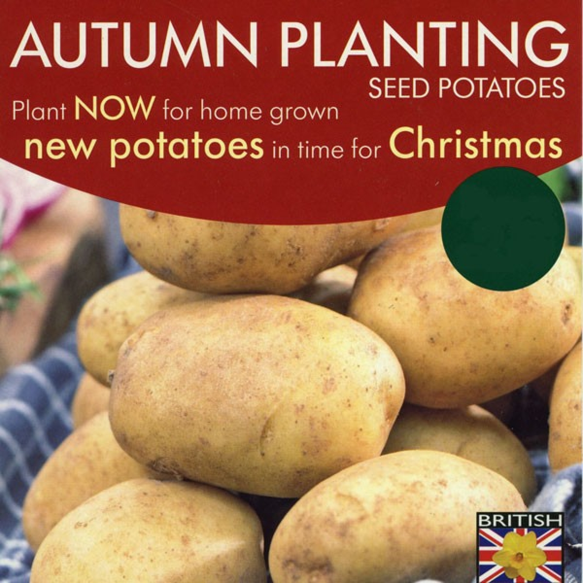 New Potatoes for Christmas News Ardcarne Garden Centre